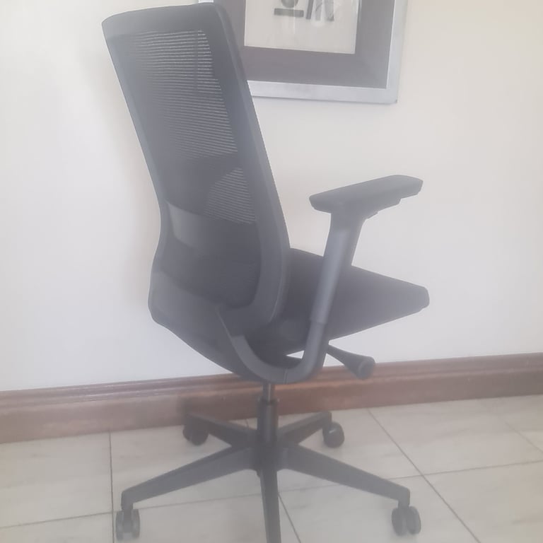 Black netback executive office chairs 