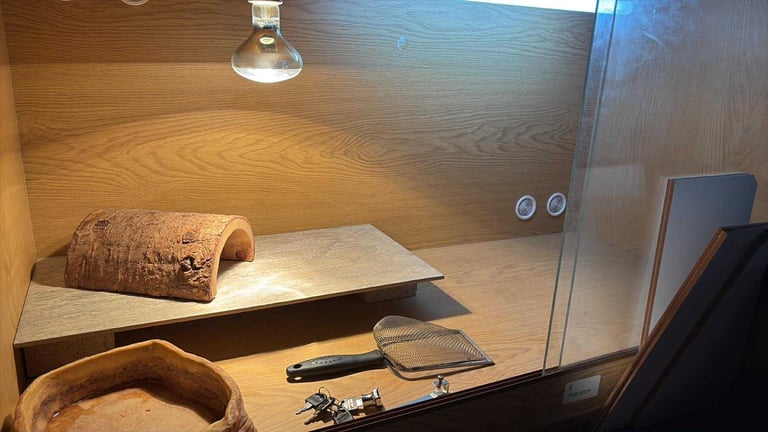 image for Vivarium tank 