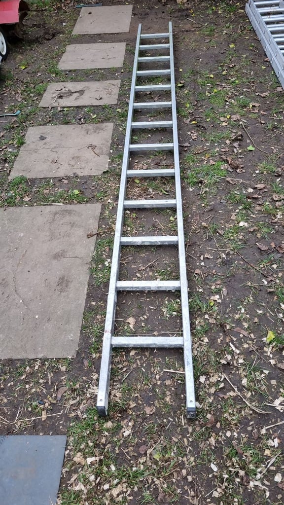 Single ladder height window scaffolding tree 