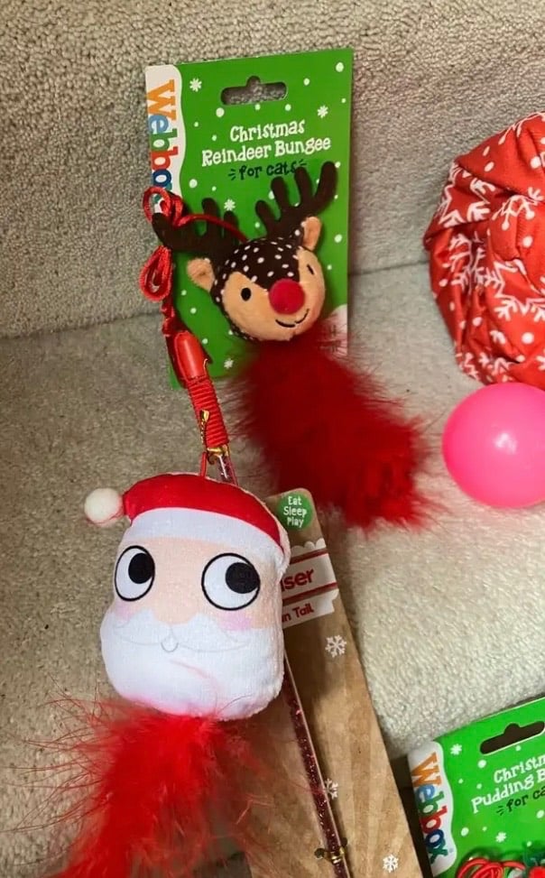 Cupid & Comet pet Christmas Blanket/Webbox bungee toys and other cat toys and teasers
