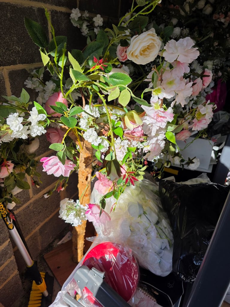 image for 2 blossom trees