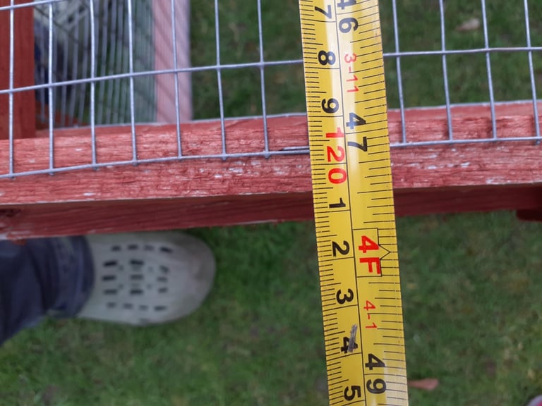 Guinea pig outdoor run