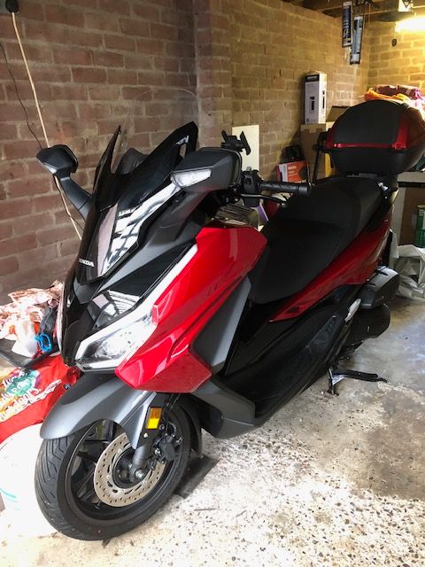 Honda, NSS, 2024, 125 (cc) Forza