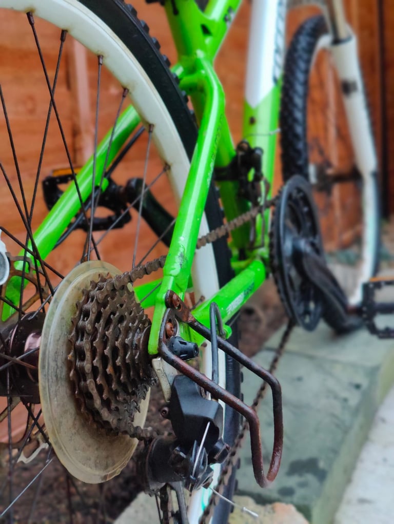 Carrera blast junior mountain bike