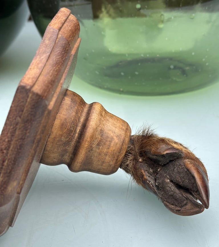 VINTAGE FRENCH TAXIDERMY WILD BOAR HOOVES COAT HOOKS, SANGLIER HOOF HUNTING RACK - WILL POST!