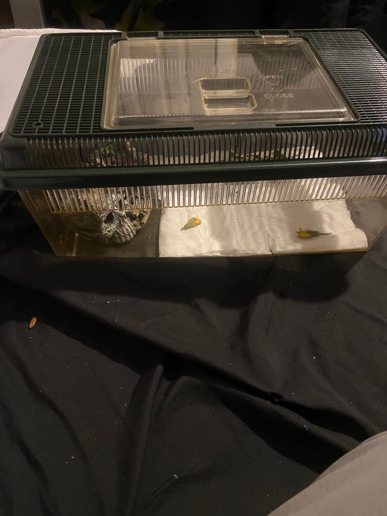 pet cage 