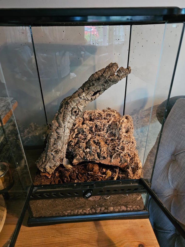 image for Exo terra glass tank enclosure terranium for frogs, spider or juvenile cresties