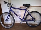 RALEIGH MAX – ADULT BICYCLE – IN FULL WORKING ORDER