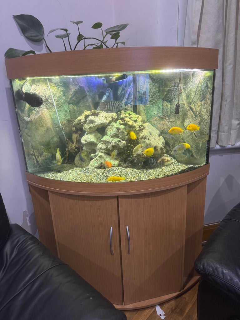 image for Corner Aquarium with Fish