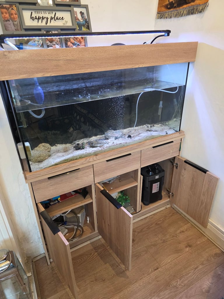 Full fish tank set up. Prestine condition.
