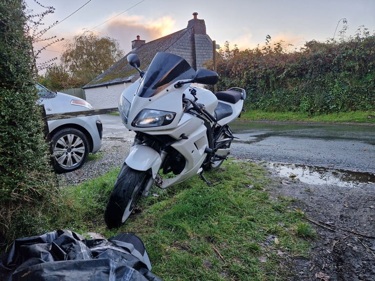 Suzuki, SV, 2004, 645 (cc)