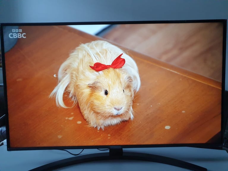 image for Smart LG 4K UHD 43inch HDR Tv with Alexa and Google Assistant builtin 