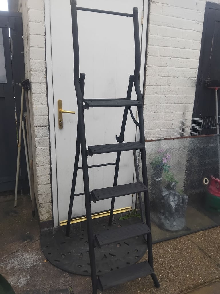 6ft ladder £10