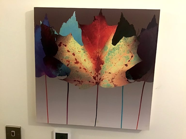 image for Leaf Dance -  Quality Canvas Print 58cm x 58cm 