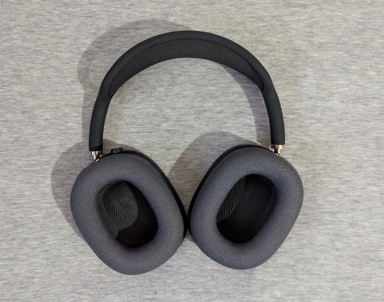 Apple headphones max
