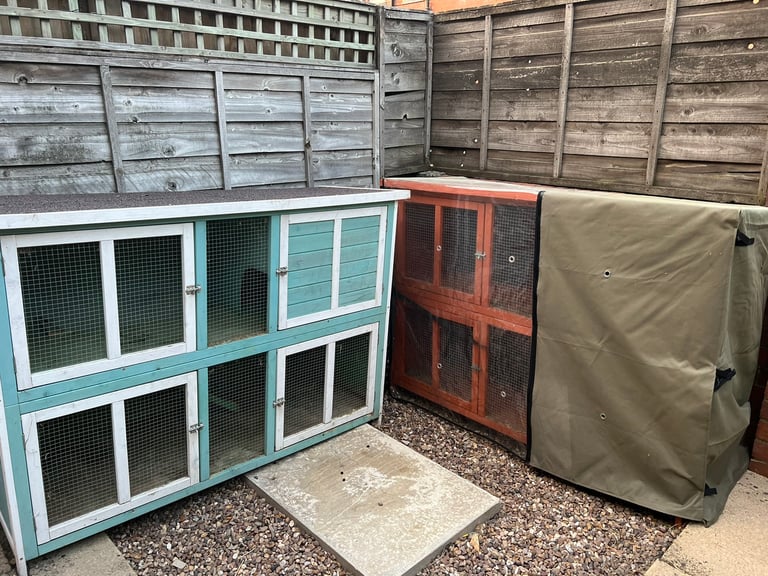 Rabbit hutches and cover 