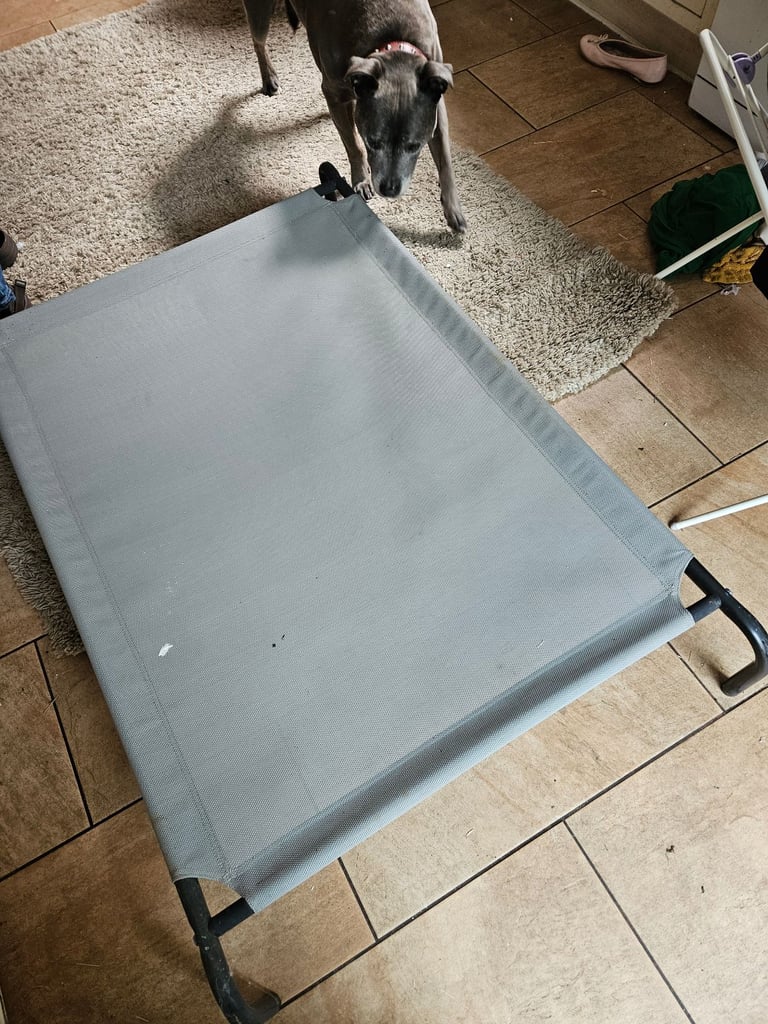 Dog/pet bed -large