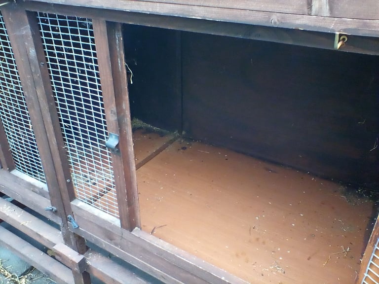 Guinea pig hutch