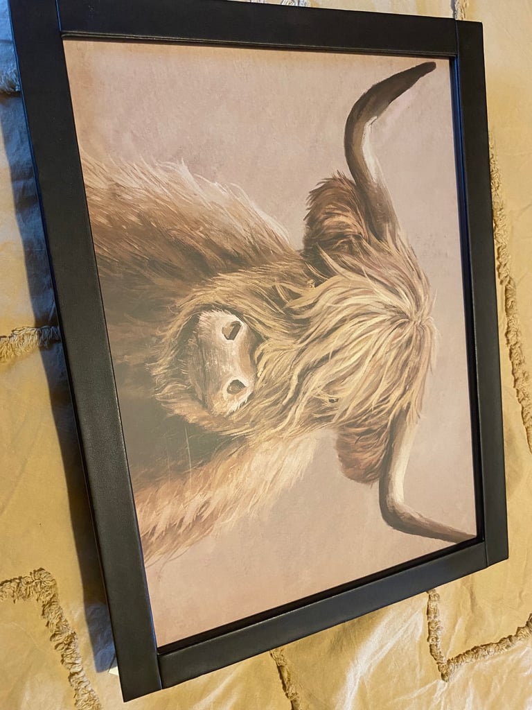 Dunelm Highland cow padded lap tray brand new