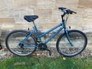 Blue MTB Raleigh