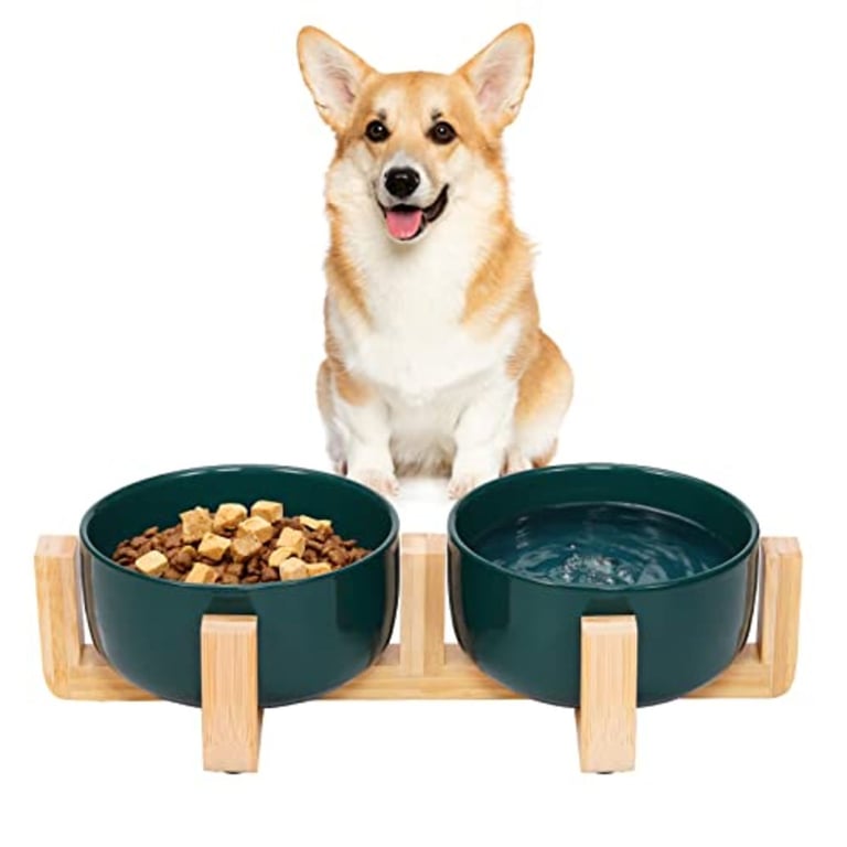 Brand new VavoPaw Ceramic Dog Bowls, with wooden stand