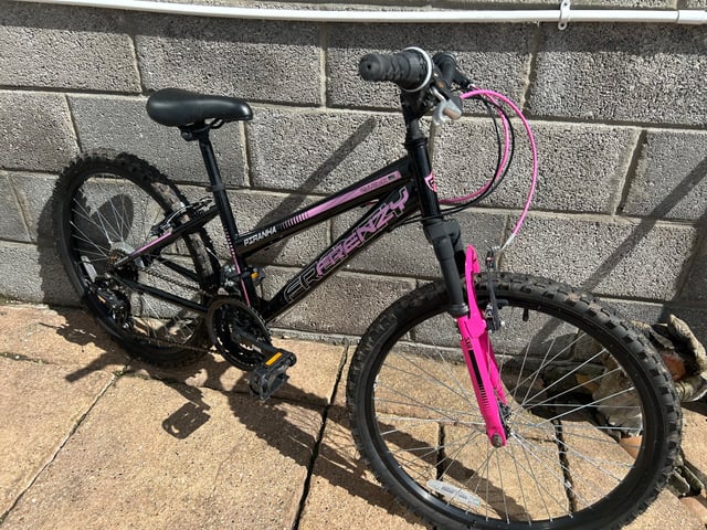 Frenzy Pirahna Mountain Bike in Fishponds, Bristol Gumtree