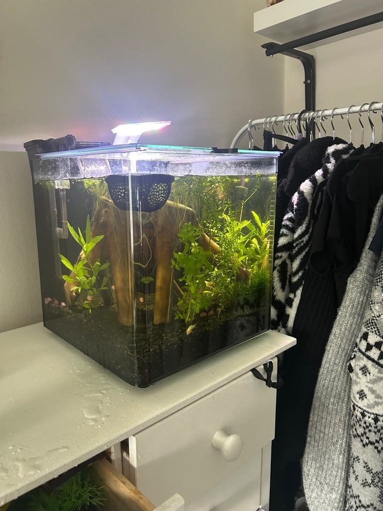 Fish tank 