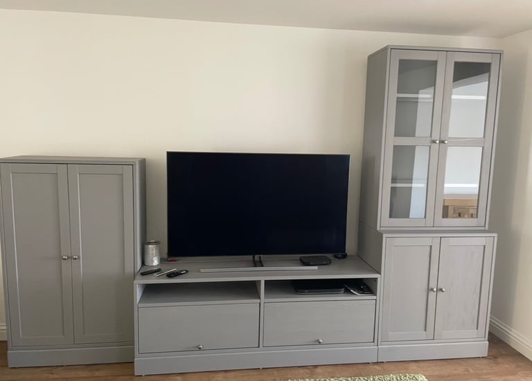 Grey IKEA Havsta TV Unit
