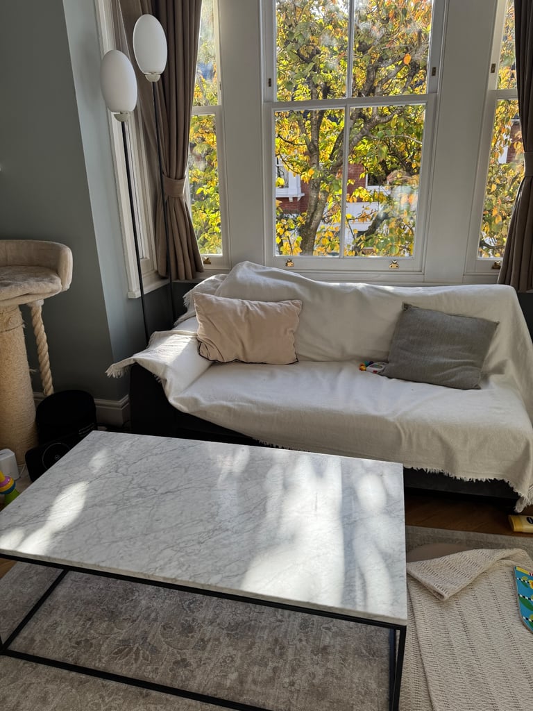 West Elm Marble Rectangle Coffee Table (112 cm x 61 cm)