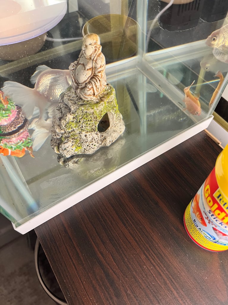 22L Aquarium Fish Tank Setup - Filter, Feeder, Food & Accessories - £40 (Complete Kit)