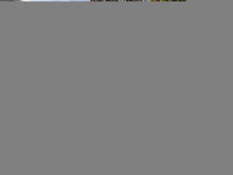 2012 Honda CR-V 2.2 i-DTEC EX SUV 5dr Diesel Manual 4WD Euro 5 (s/s) (150 ps)