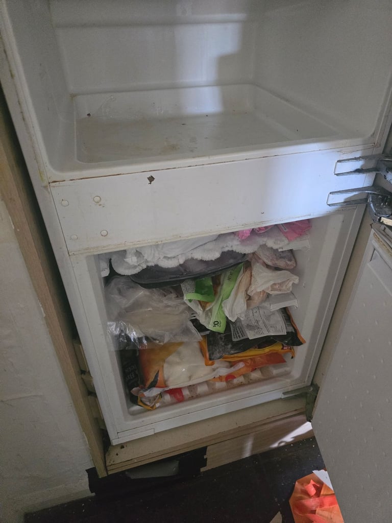 FREE to uplift Fridge Freezer Neff - integrated or free standing 