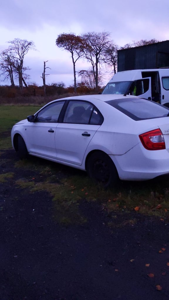 image for Skoda rapid breaking 