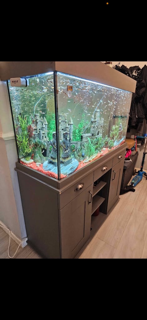 ***AVAILABLE**** Fish tank 