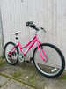 Girls pink probike mountain bike 24 wheels ready to ride 