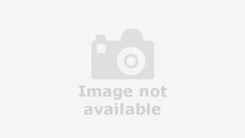 image for 2020 Ford Transit Custom 2.0 EcoBlue 130ps Low Roof Limited Van PANEL VAN DIESEL Manual