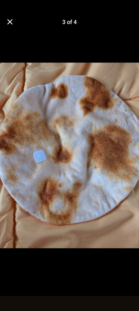 image for Turtle burrito wrap