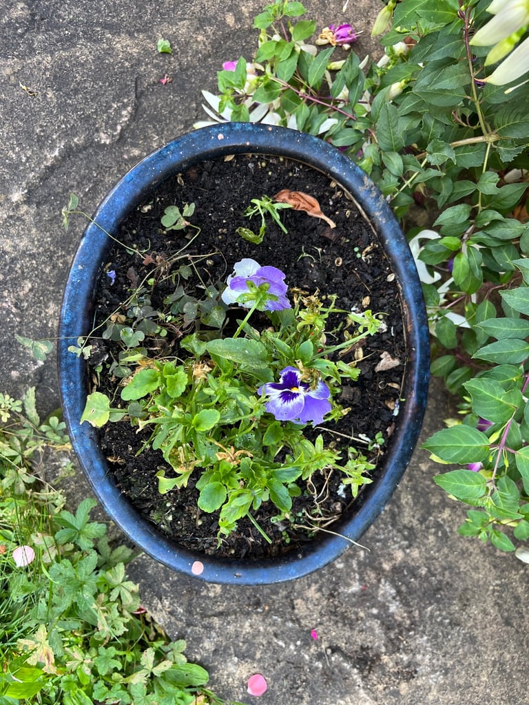 Speckled Blue Oval Ceramic Planter - 35cm | Indoor Outdoor Garden Pot