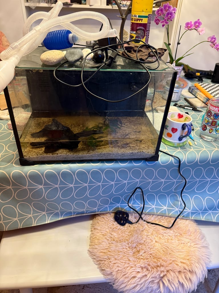 Aqua one focus 26ltrs