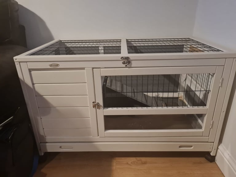 Rabbit/guinee pig hutch