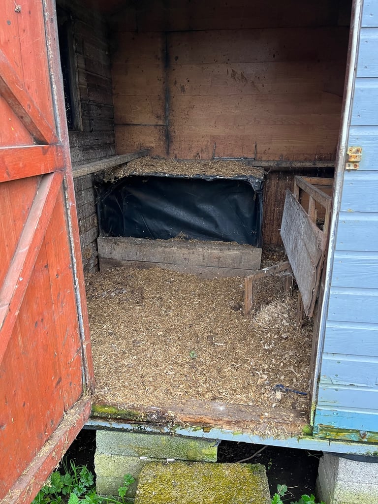 image for FREE Chicken Coop and run.  