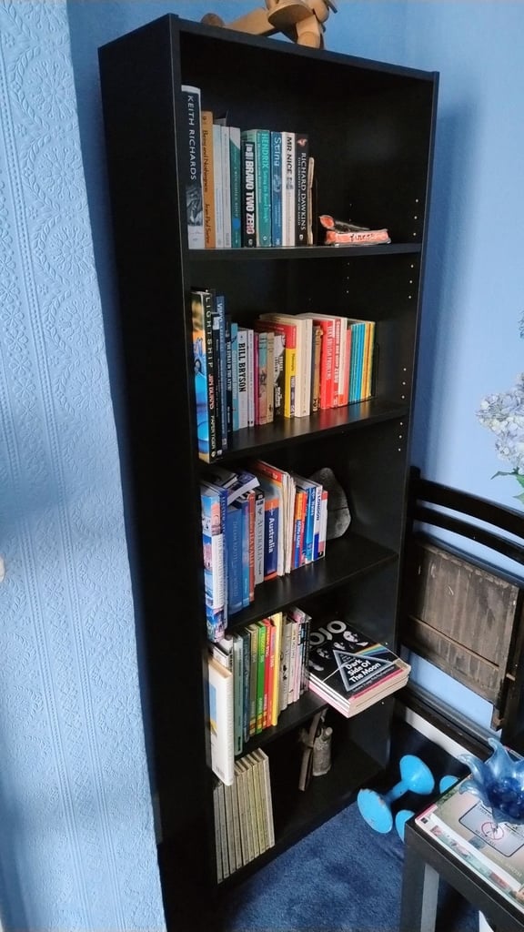 image for IKEA Bookcase (No, not a BILLY) 
