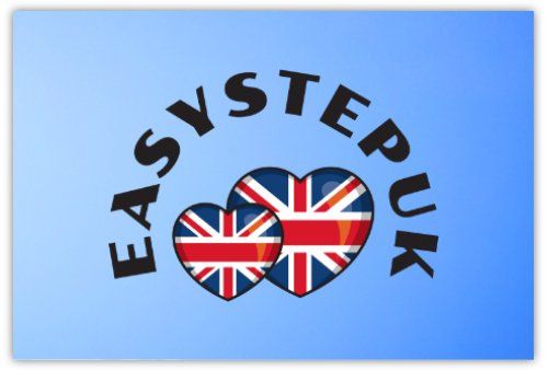 Lunar New Year Fair 2026 – Year of the Horse