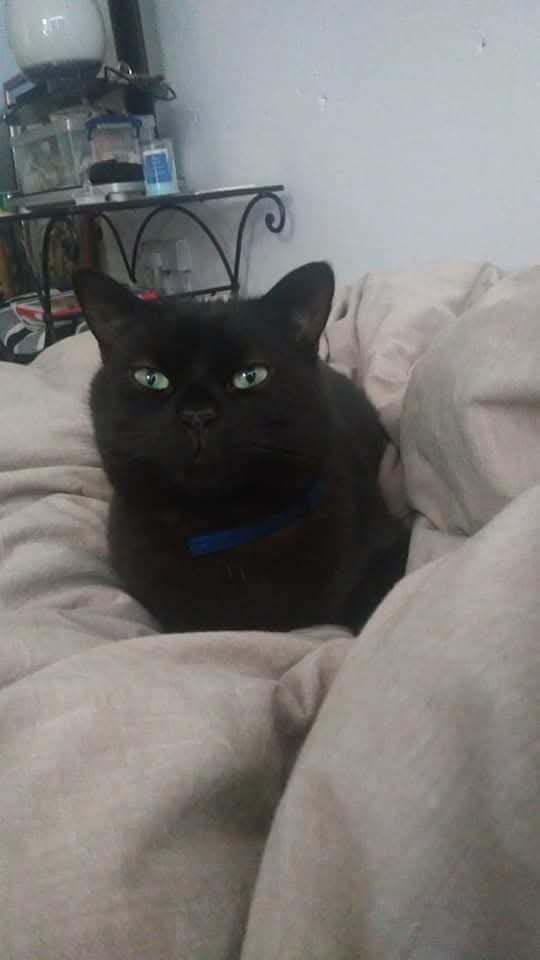 Experience owner for a shy boy