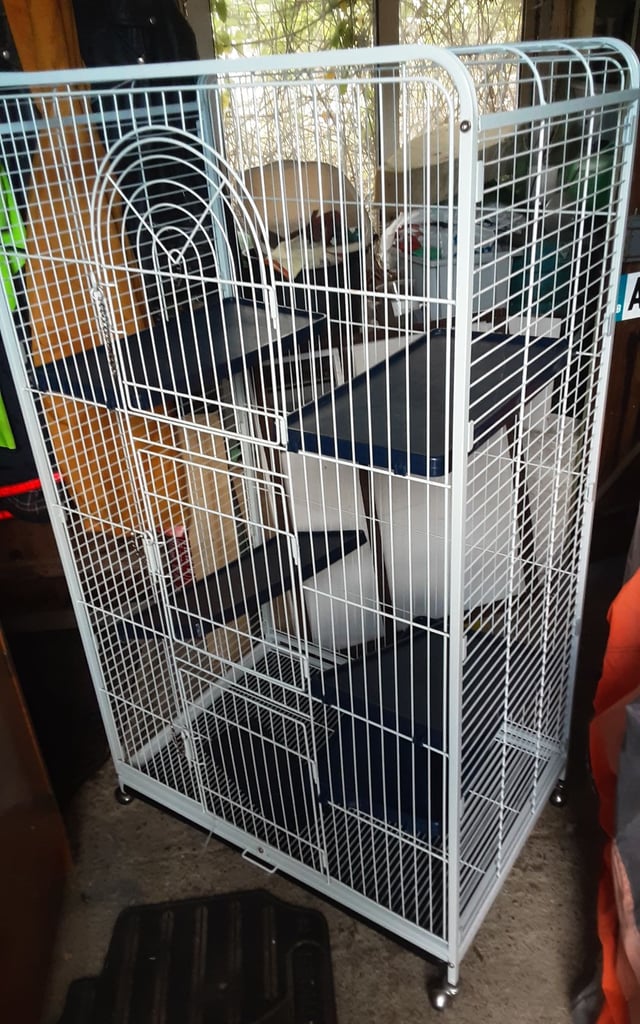 For sale a used rat cage 