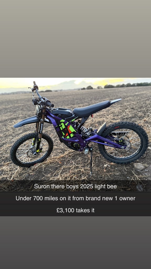 Suron 2025 light bee 