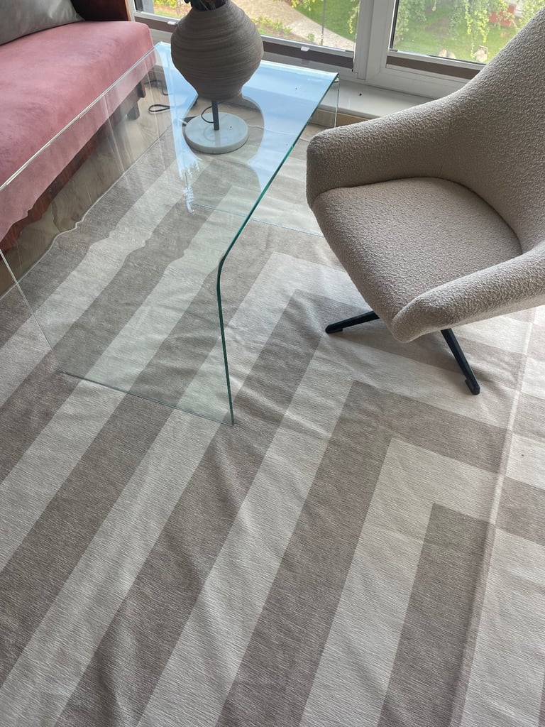 Brand New Ruggable rug