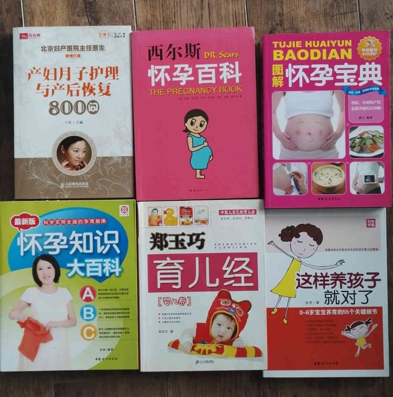 image for Excellent Chinese Maternity and Parenting books
