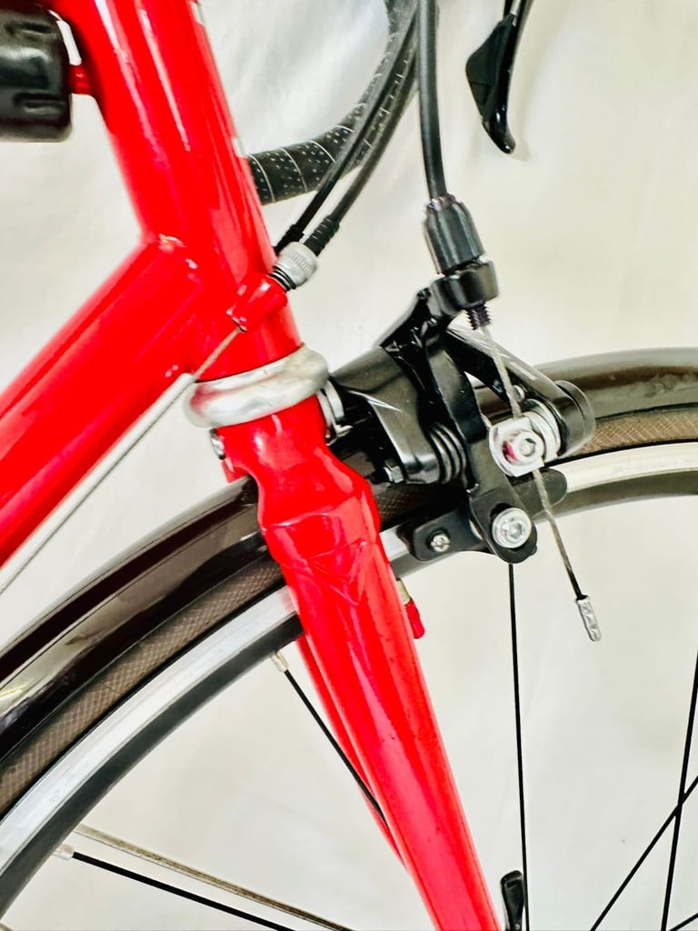 31   PAUL DONOHUE Size/56 cm  Brand New Road Bike Shimano 105