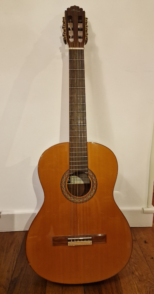 Classic Cantabile Acoustic Series AS-851 Guitare classique 1/ 2